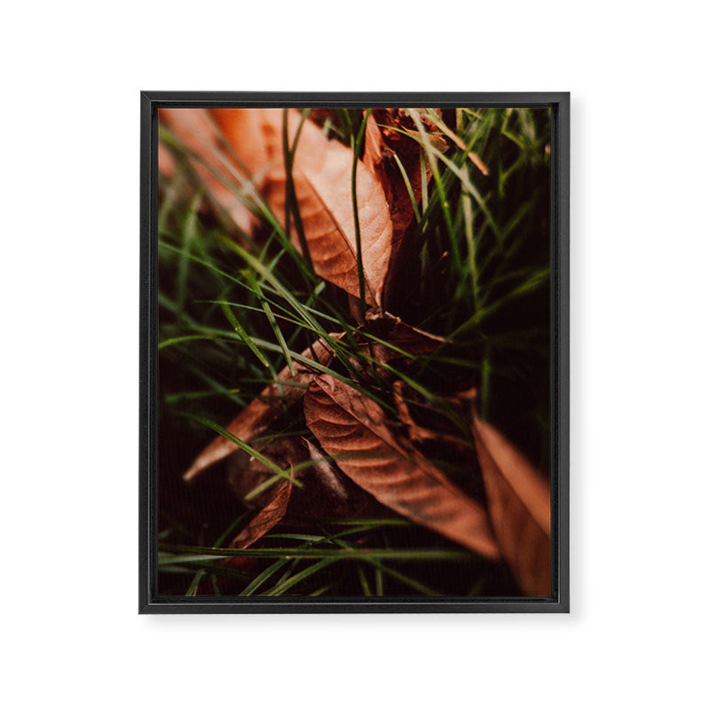Shelter Framed Canvas Print Gallery Image 6