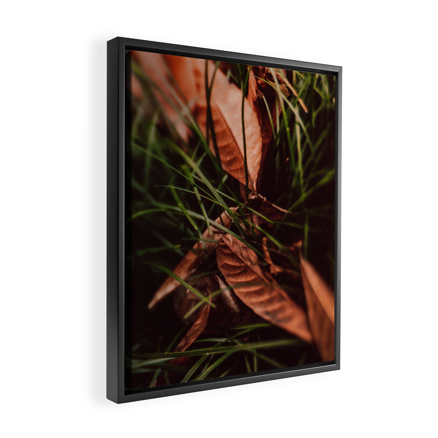 Shelter Framed Canvas Print Gallery Image 2