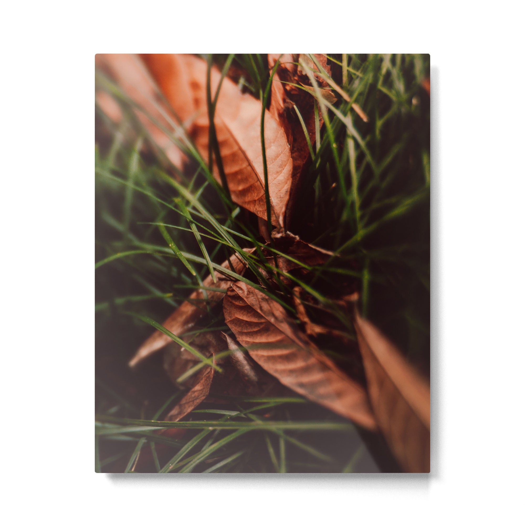 Shelter Metal Print Gallery Image 4