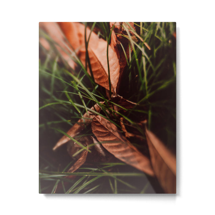 Shelter Metal Print Gallery Image 1