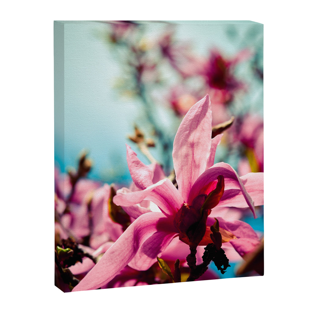 Silver Lining Canvas Print Gallery Image 6