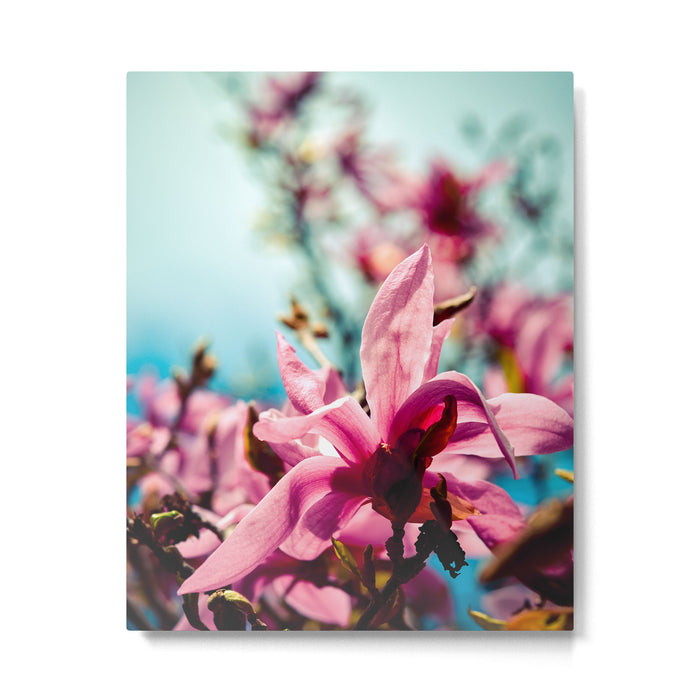 Silver Lining Metal Print Gallery Image 1