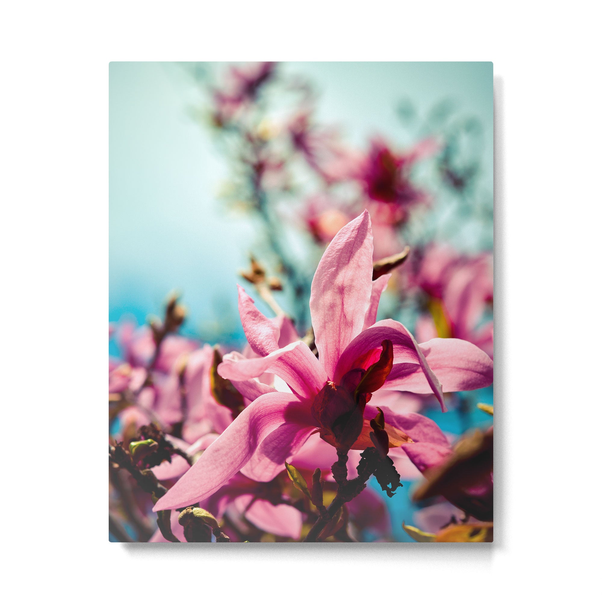 Silver Lining Metal Print Gallery Image 4