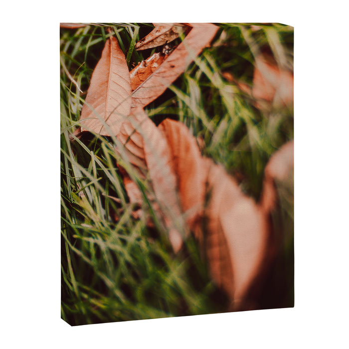 Single File Canvas Print Gallery Image 1