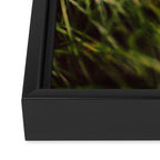 Single File Framed Canvas Print Gallery Image 3