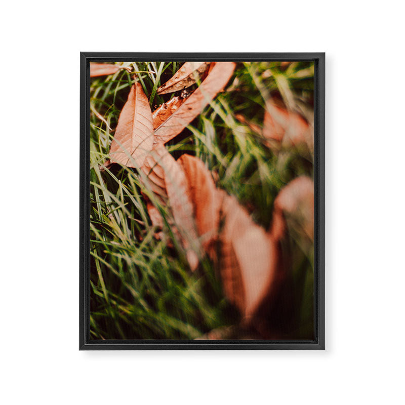 Single File Framed Canvas Print Gallery Image 6
