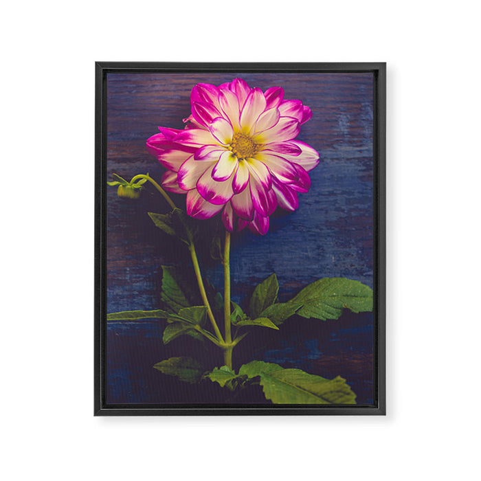 Single Framed Canvas Print Gallery Image 1
