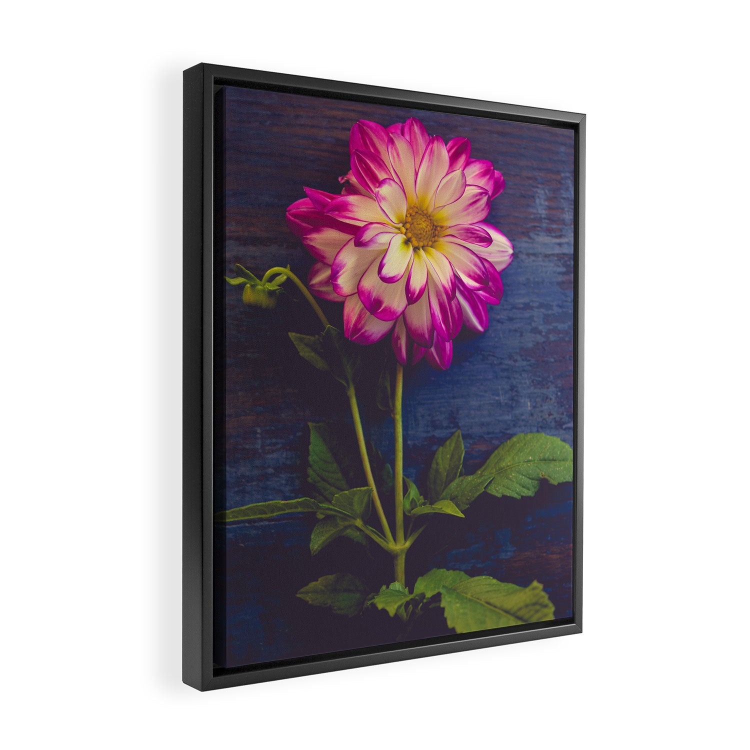 Single Framed Canvas Print Gallery Image 2