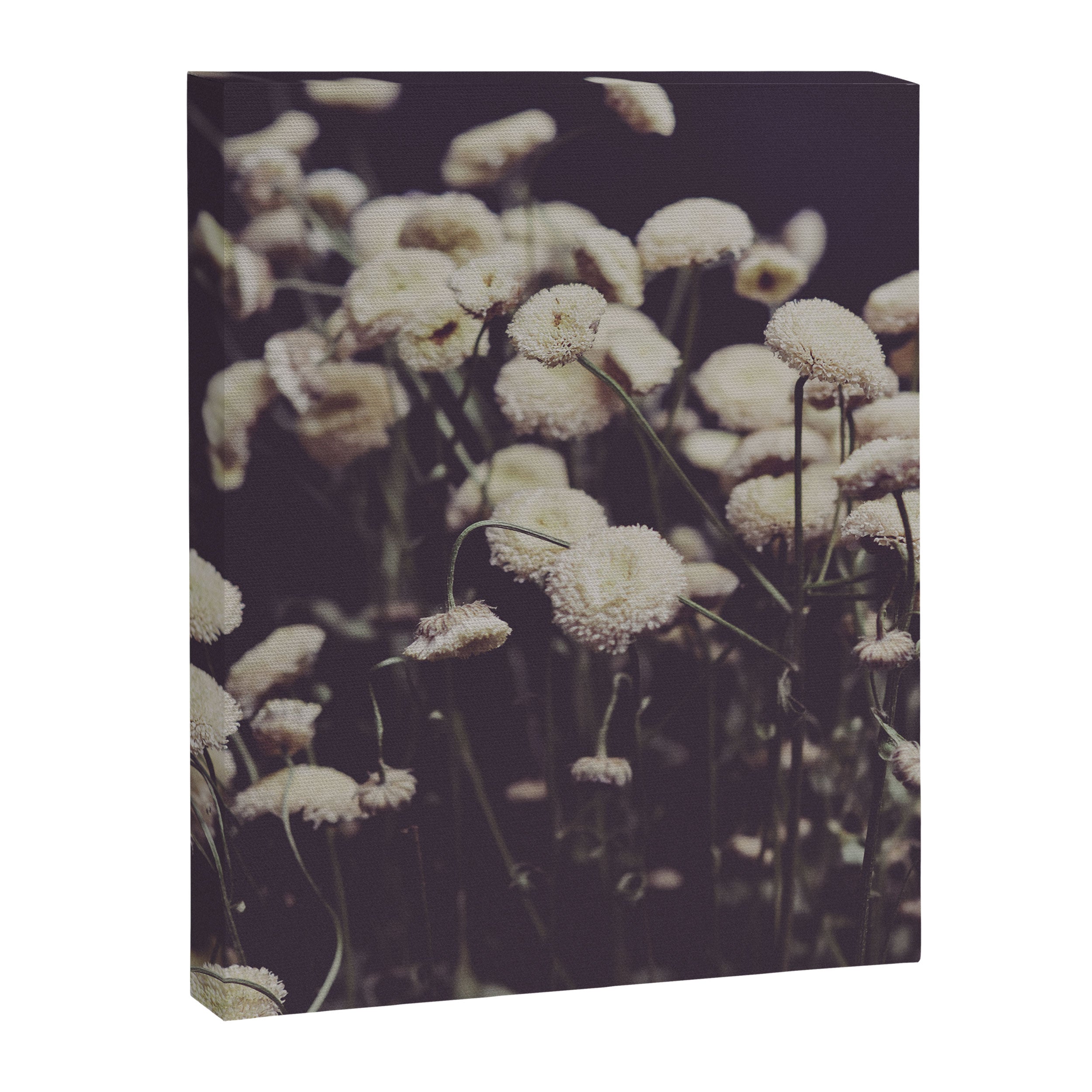 Soiree Canvas Print Gallery Image 6