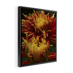 Solar Flare - dahlia photograph botanical art print flowers autumn fall Framed Canvas Print Gallery Image 2