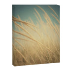 Somewhere Only We Know Canvas Print Gallery Image 6