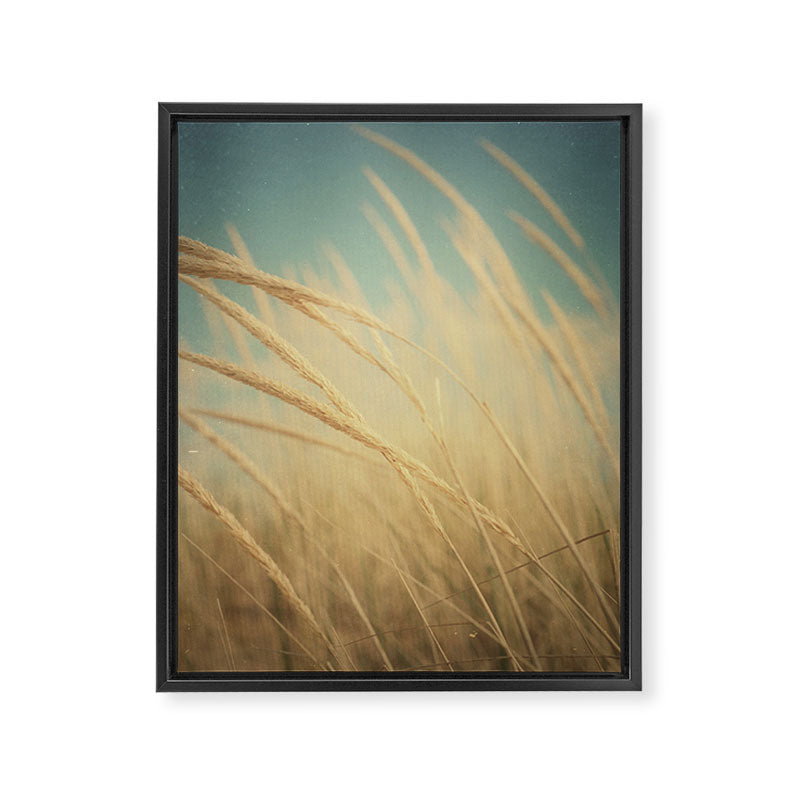 Somewhere Only We Know Framed Canvas Print Gallery Image 6