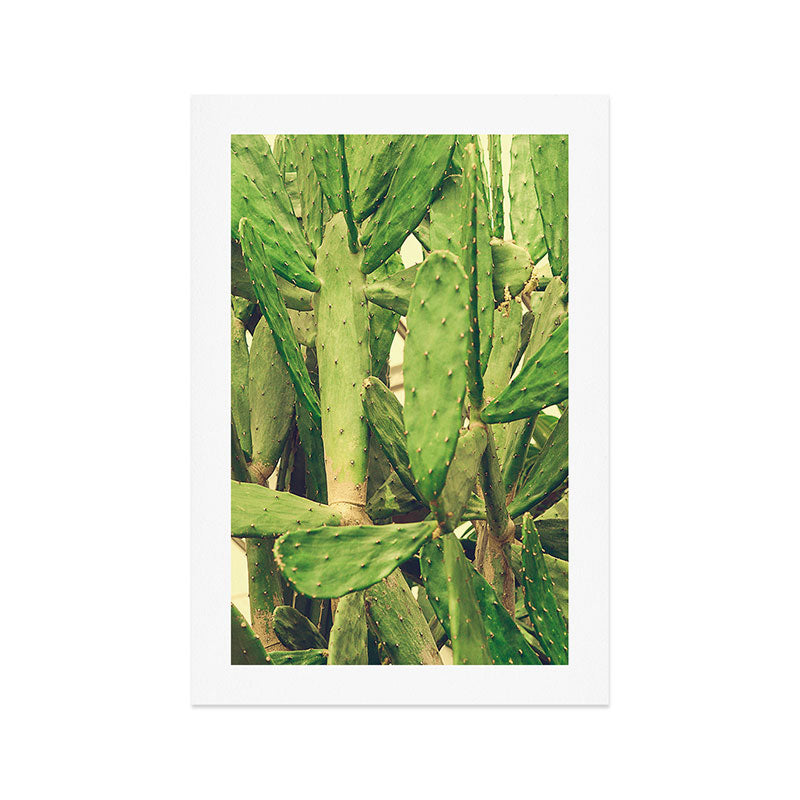 Southwest Desert Cactus Art Print Gallery Image 1