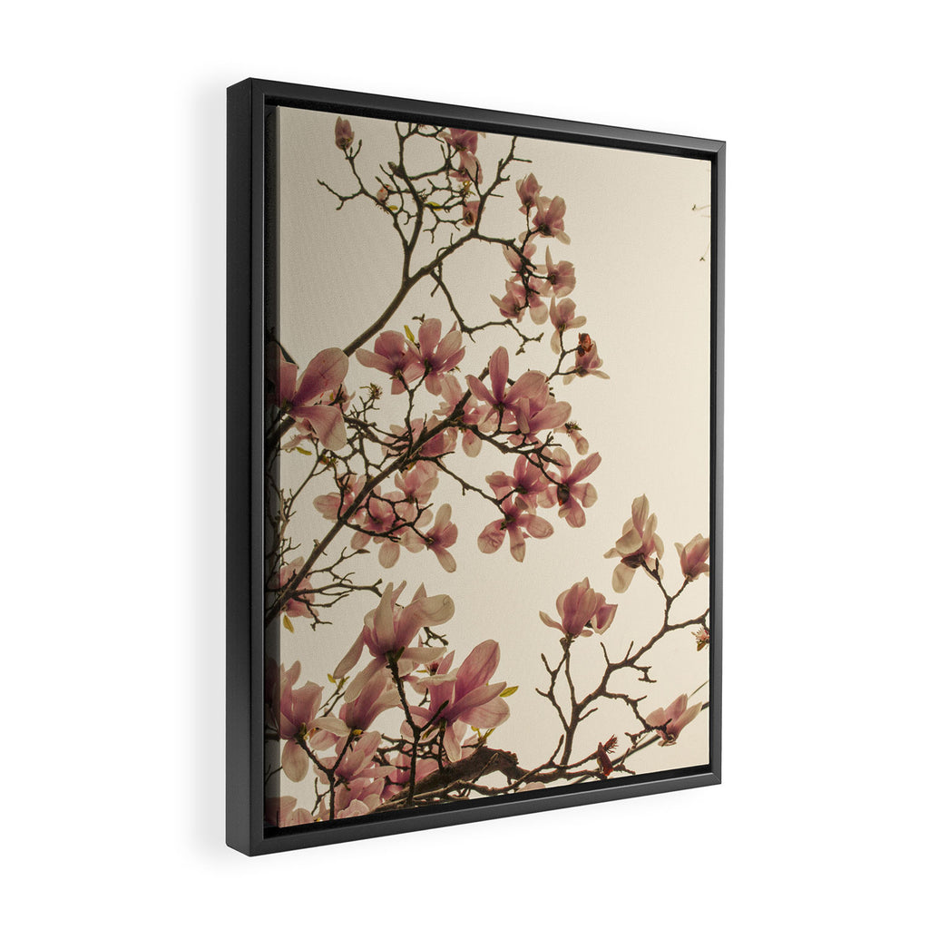 Spring in Paris Framed Canvas Print Gallery Image 2