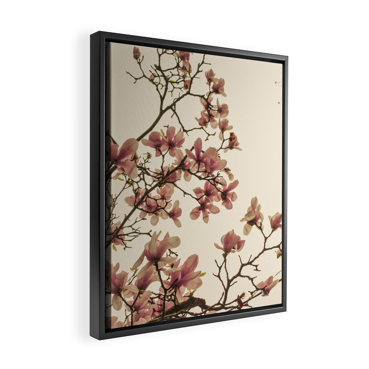 Spring in Paris Framed Canvas Print Gallery Image 2