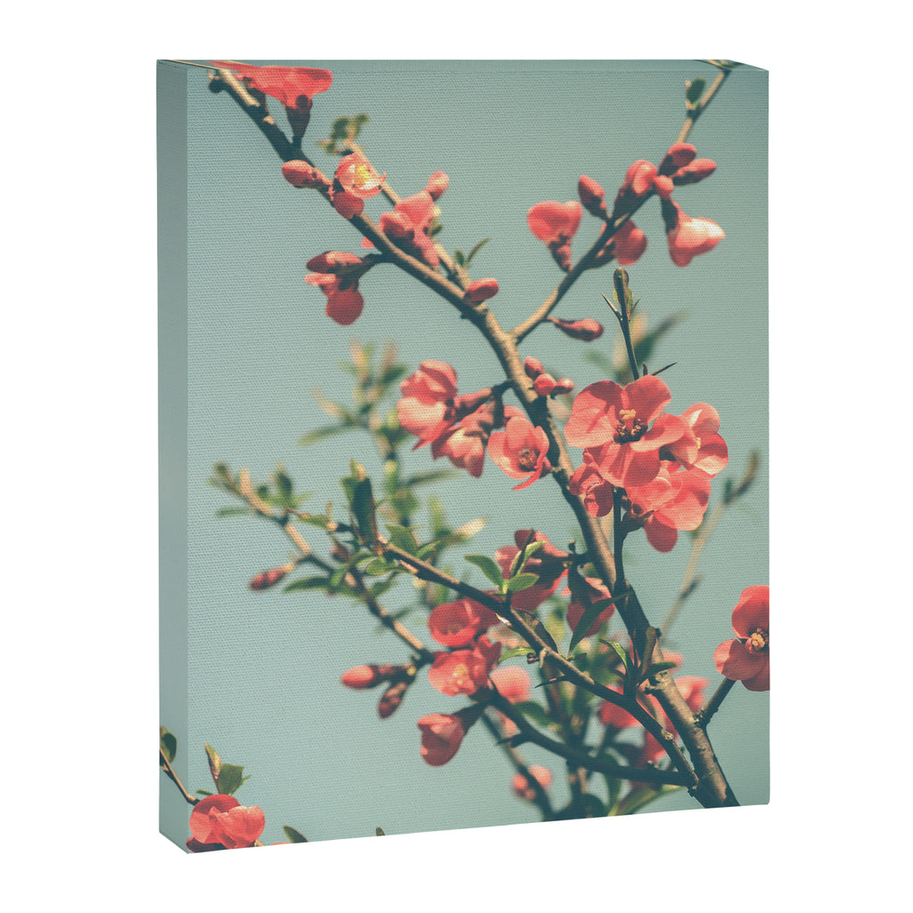 spring photograph 12. - botanical art photograph flower print Canvas Print Gallery Image 6