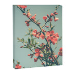 spring photograph 12. - botanical art photograph flower print Canvas Print Gallery Image 6