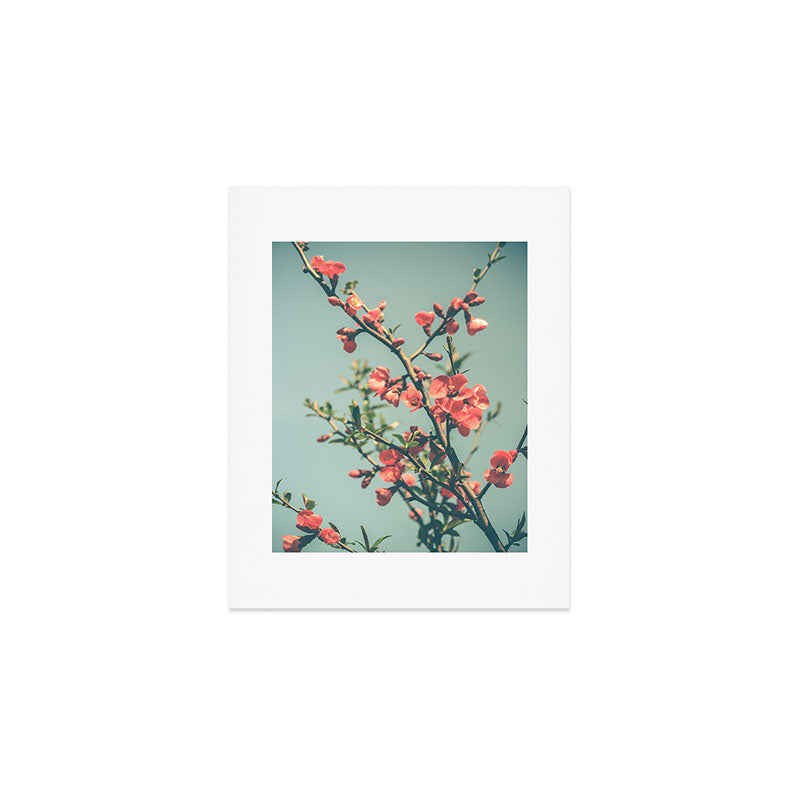 spring photograph 12. - botanical art photograph flower print Art Print Gallery Image 1