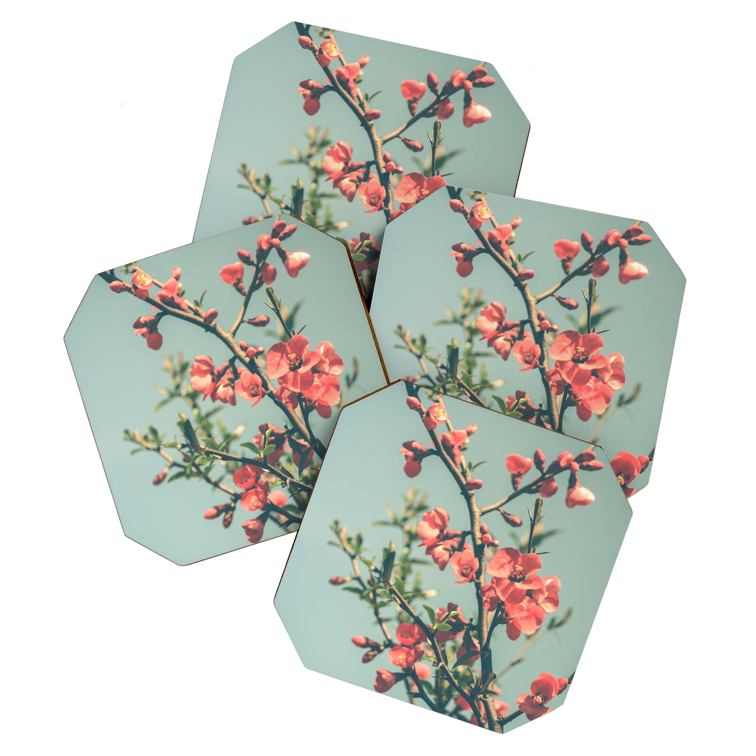 spring photograph 12. - botanical art photograph flower print Coaster Gallery Image 1