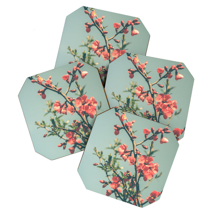 spring photograph 12. - botanical art photograph flower print Coaster Gallery Image 1