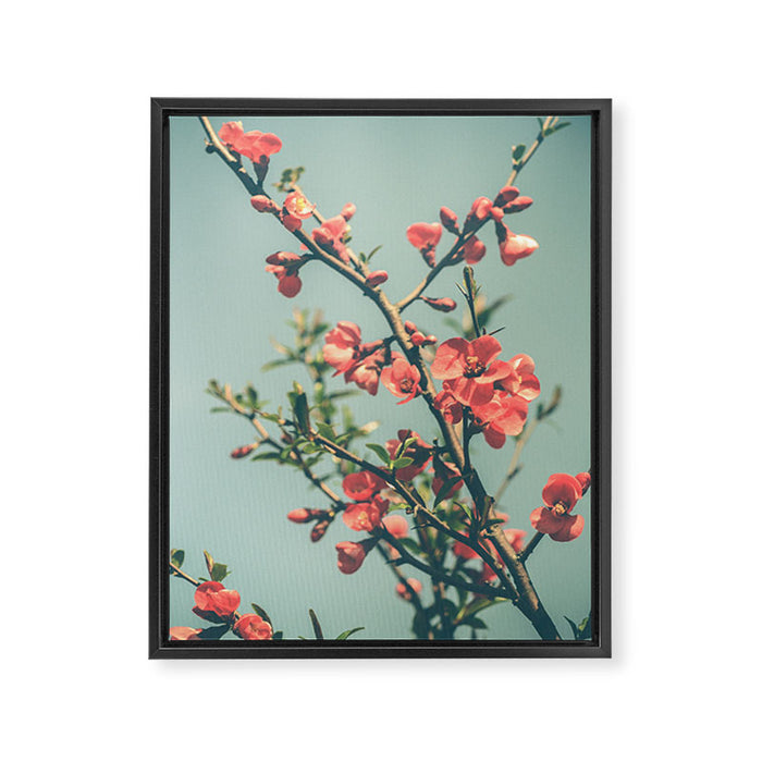 spring photograph 12. - botanical art photograph flower print Framed Canvas Print Gallery Image 1