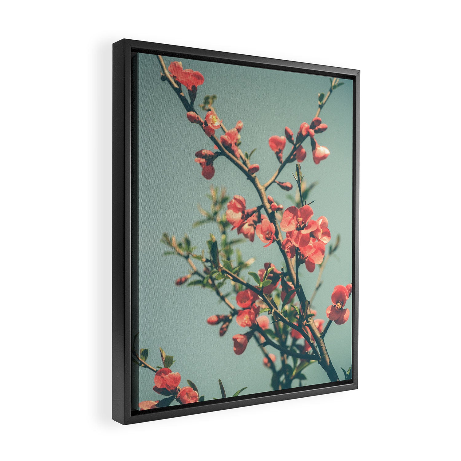 spring photograph 12. - botanical art photograph flower print Framed Canvas Print Gallery Image 2
