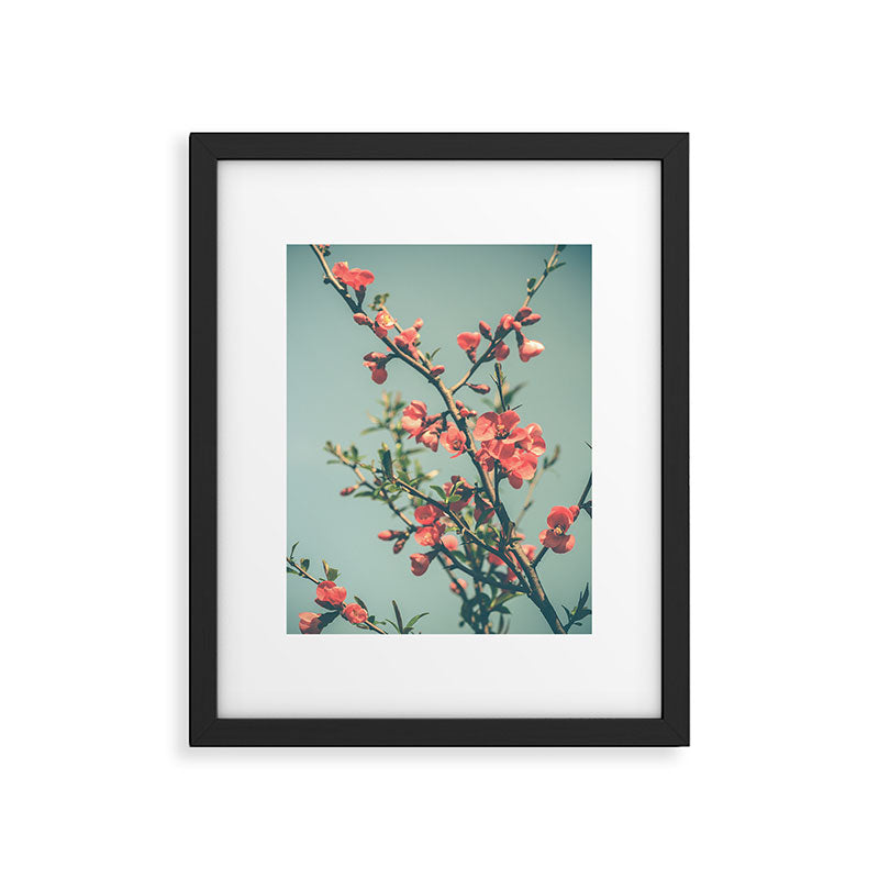 spring photograph 12. - botanical art photograph flower print Framed Art Print Gallery Image 5
