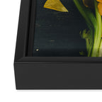 Spring Tulip Flowers Framed Canvas Print Gallery Image 3