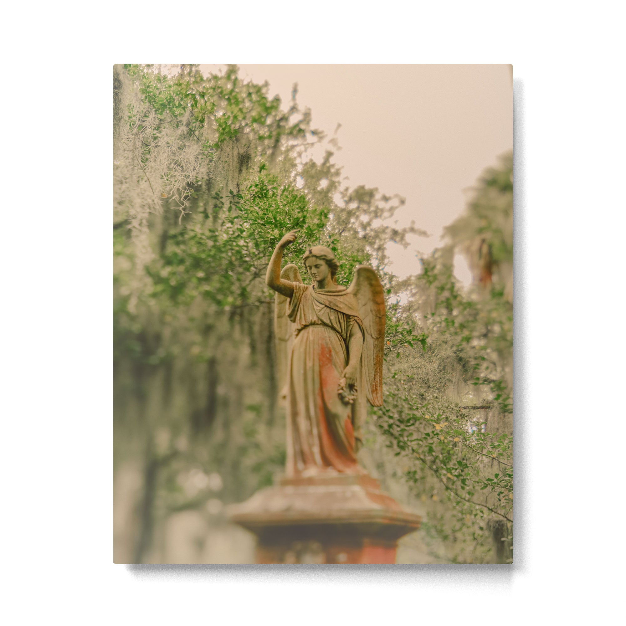 Statuesque Metal Print Gallery Image 4