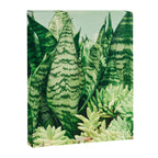 Succulents and Sansevieria houseplant botanical leaf photograph Canvas Print Gallery Image 6
