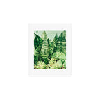 Succulents and Sansevieria houseplant botanical leaf photograph Art Print Gallery Image 1