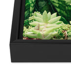 Succulents and Sansevieria houseplant botanical leaf photograph Framed Canvas Print Gallery Image 3