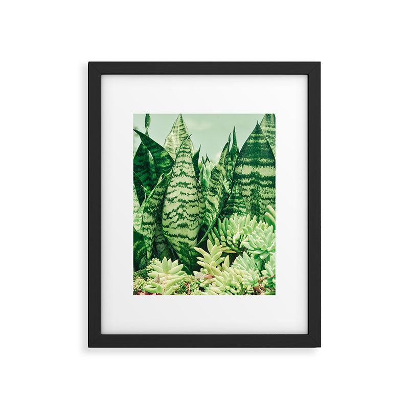Succulents and Sansevieria houseplant botanical leaf photograph Framed Art Print Gallery Image 5