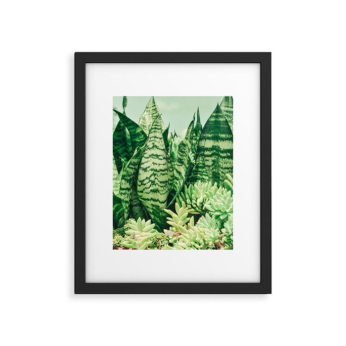 Succulents and Sansevieria houseplant botanical leaf photograph Framed Art Print Gallery Image 1