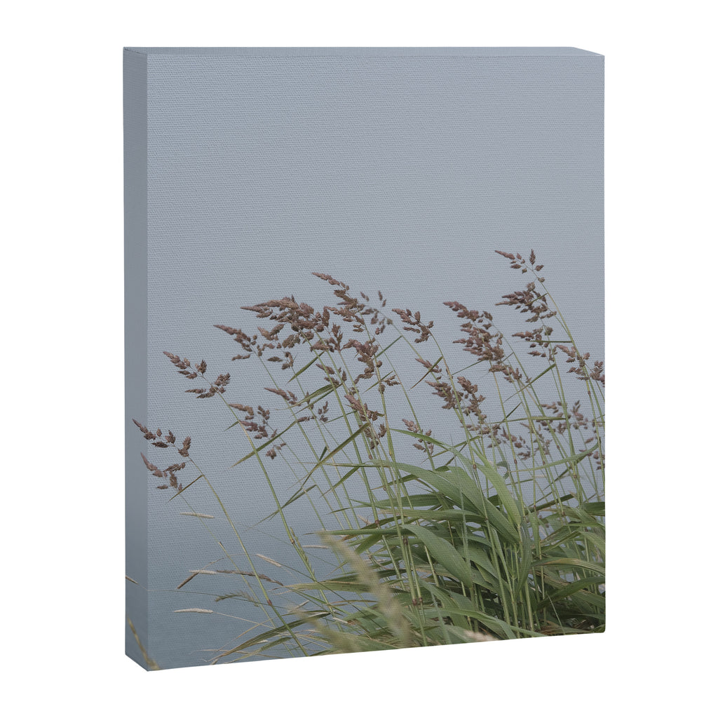 summer along the coast - maine travel photograph nature  Canvas Print Gallery Image 6