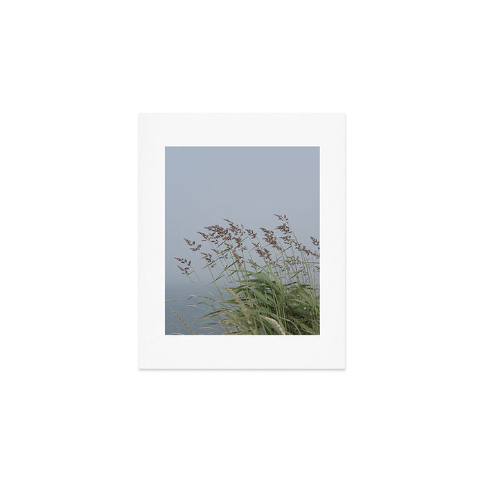 summer along the coast - maine travel photograph nature  Art Print Gallery Image 1