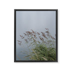 summer along the coast - maine travel photograph nature  Framed Canvas Print Gallery Image 6
