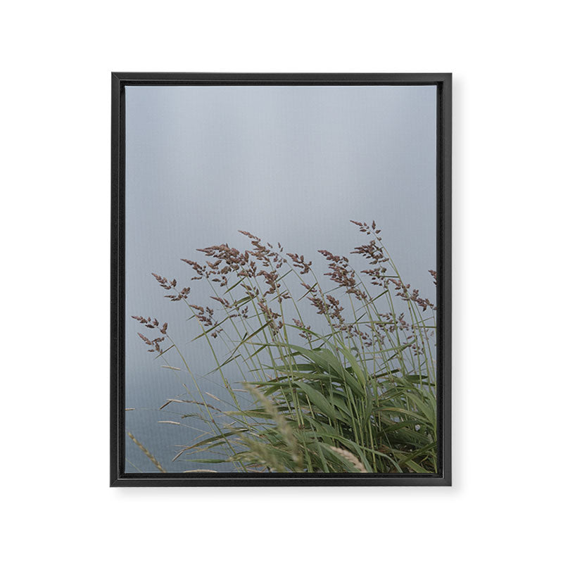 summer along the coast - maine travel photograph nature  Framed Canvas Print Gallery Image 6