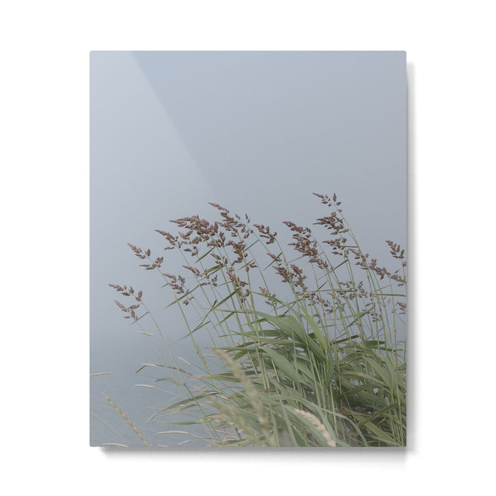 summer along the coast - maine travel photograph nature  Metal Print Gallery Image 1