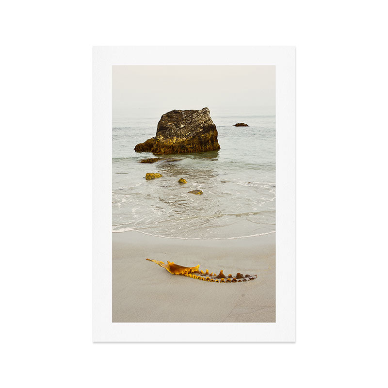 Summer Beach Seaweed Art Print Gallery Image 1