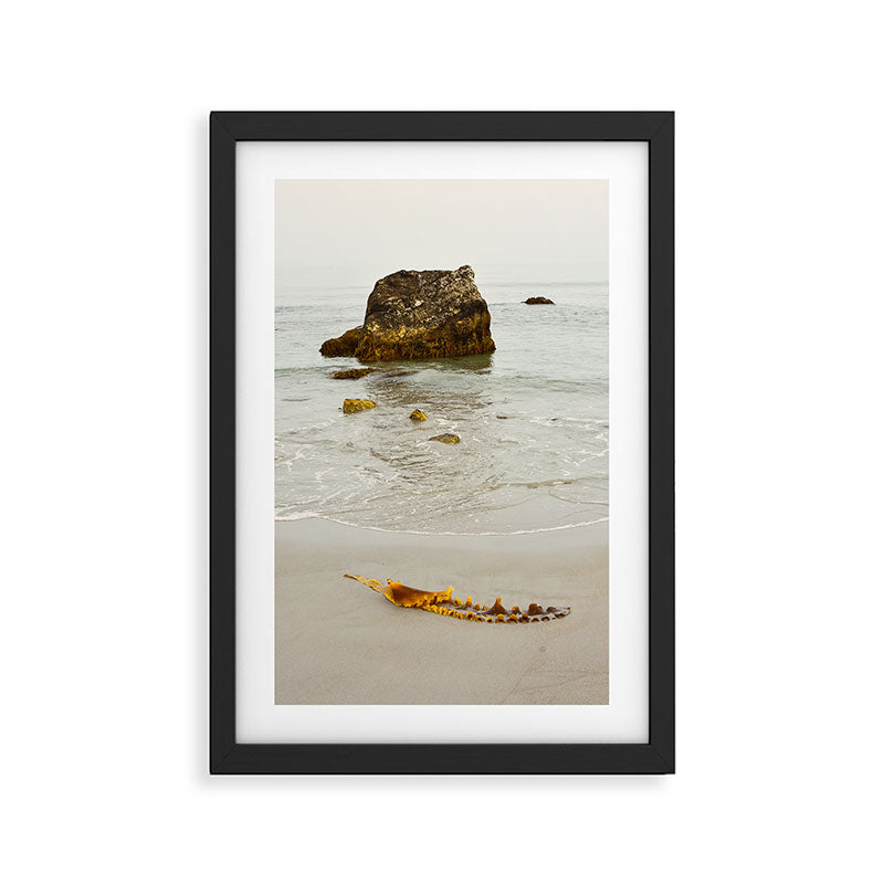 Summer Beach Seaweed Framed Art Print Gallery Image 2