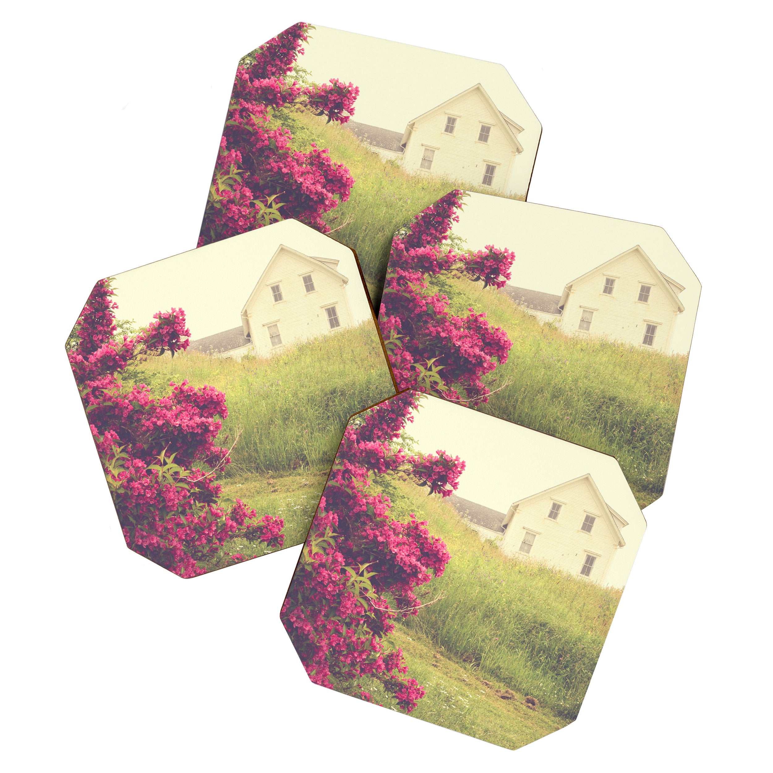 Summer Cottage Coaster Gallery Image 1