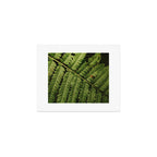 Summer Fern Detail 2 Art Print Gallery Image 1