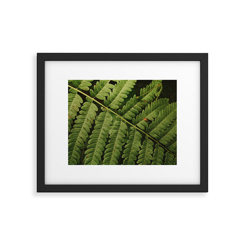 Summer Fern Detail 2 Framed Art Print Gallery Image 5