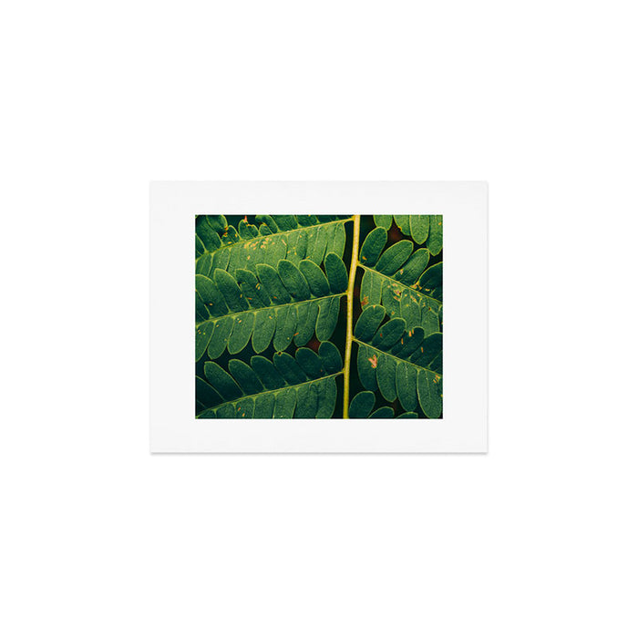 Summer Fern Detail Art Print Gallery Image 1