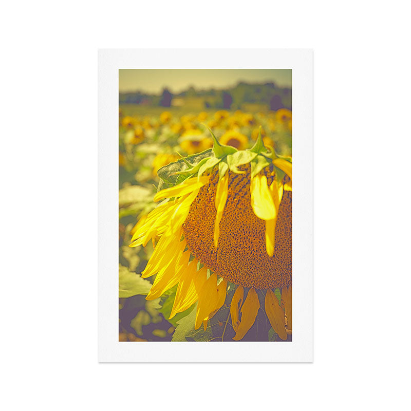 Summer Field Art Print Gallery Image 1