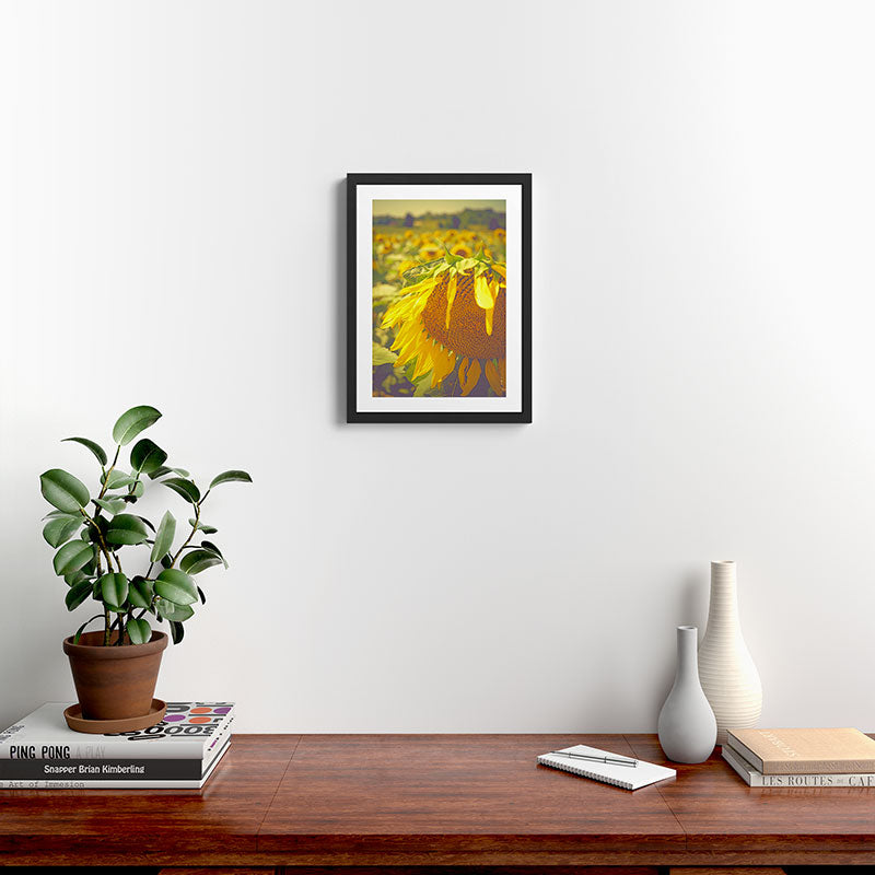 Summer Field Framed Art Print Gallery Image 2