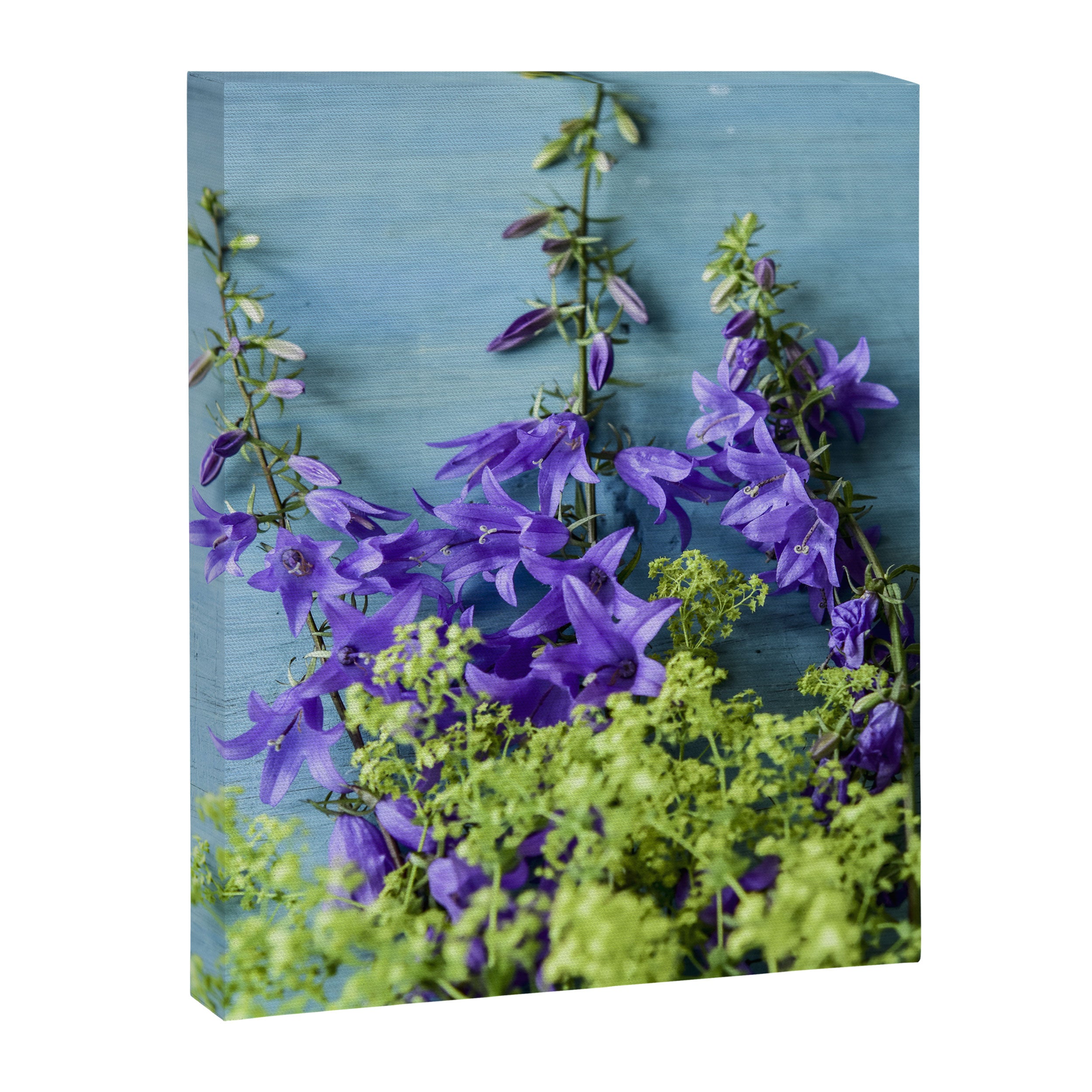 Summer Flowers - botanical photograph still life happy whimsical art Canvas Print Gallery Image 6
