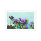 Summer Flowers Art Print Gallery Image 1