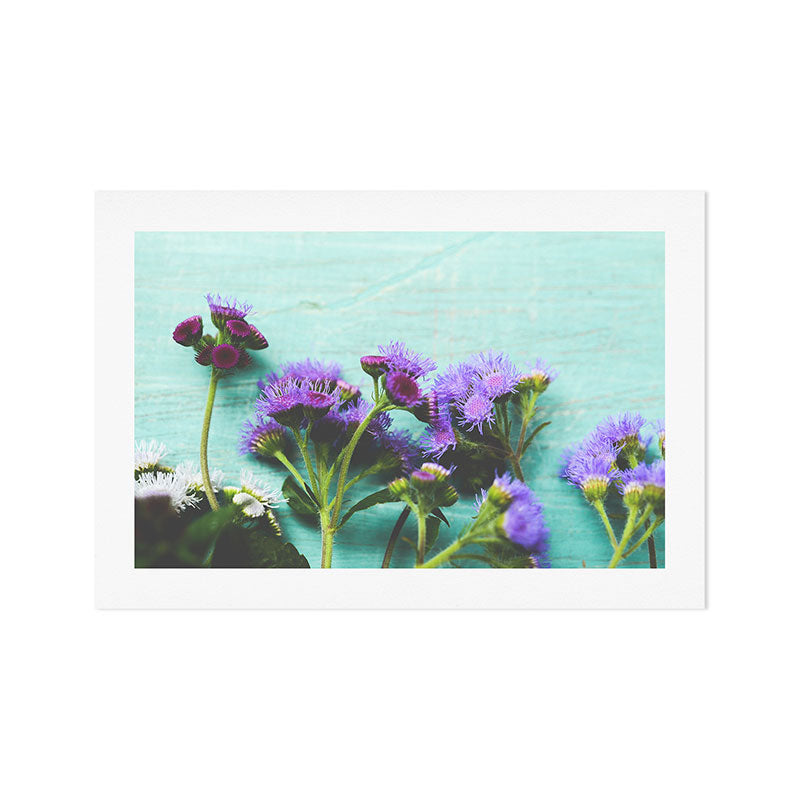 Summer Flowers Art Print Gallery Image 1